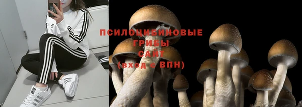 амфетамин Бутурлиновка