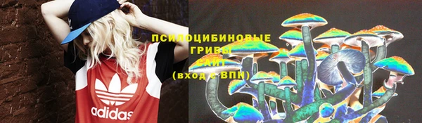 гашик Валуйки